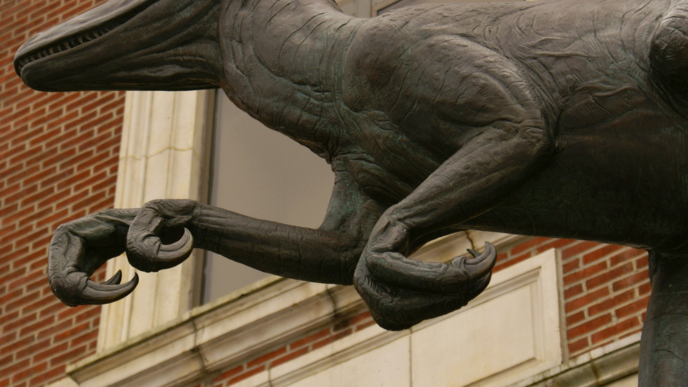 Closeup of Deinonychus dinosaur's claws