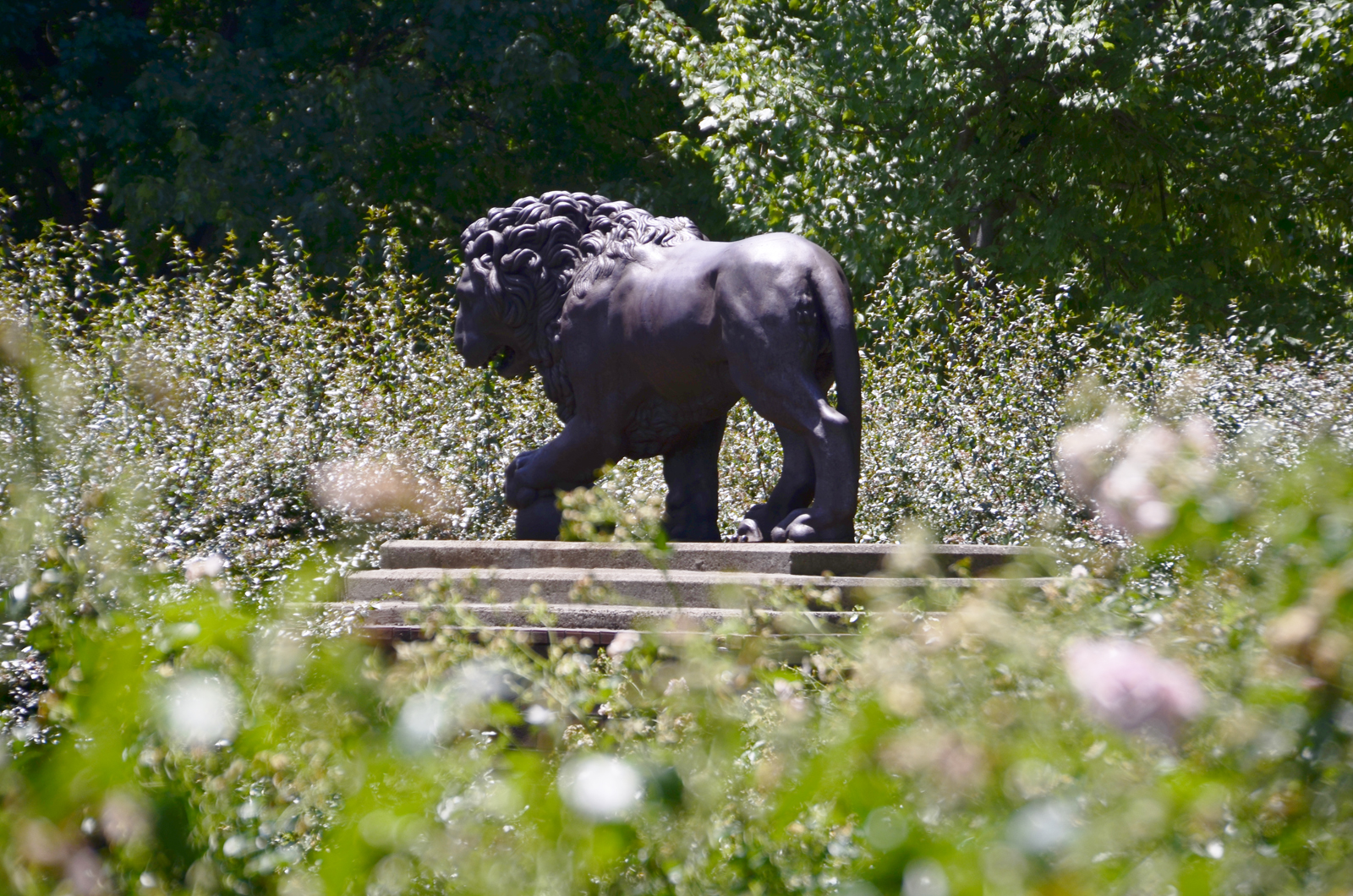 Florentine Lions - Association for Public Art