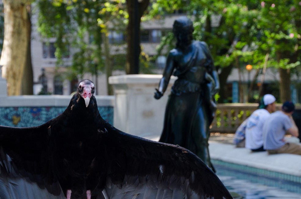 Photo Alec Rogers © 2015 for the Association for Public Art