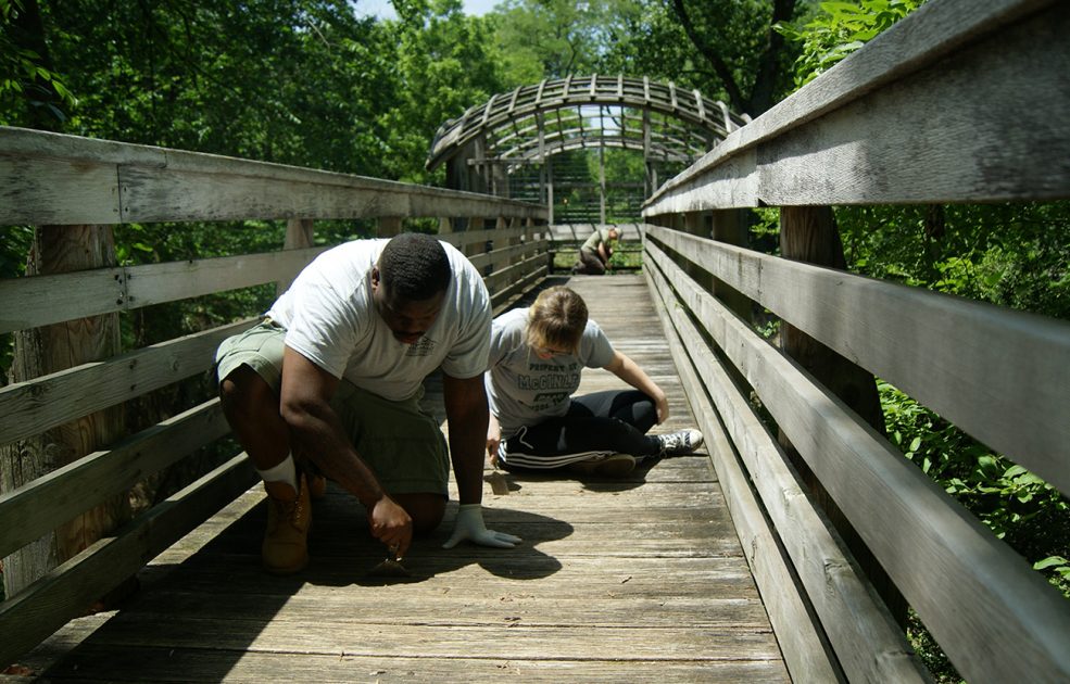 Conservators working to clean and protect Martin Puryear's <em>Pavilion in the Trees</em> in Fairmount Park. Photo © Caitlin Martin for the Association for Public Art.