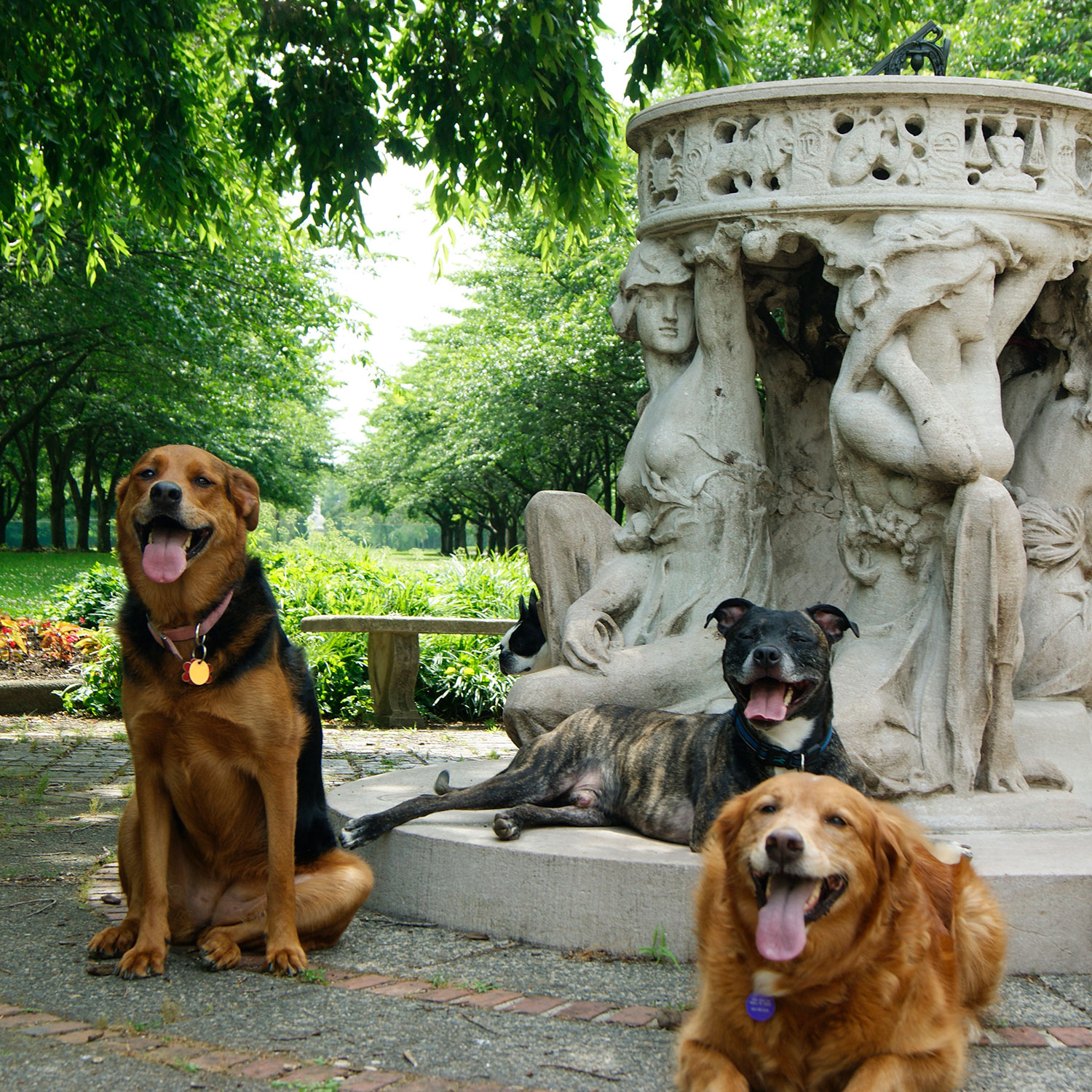 A squad of dogs pose with Alexander Stirling Calder's Sundial sculpture