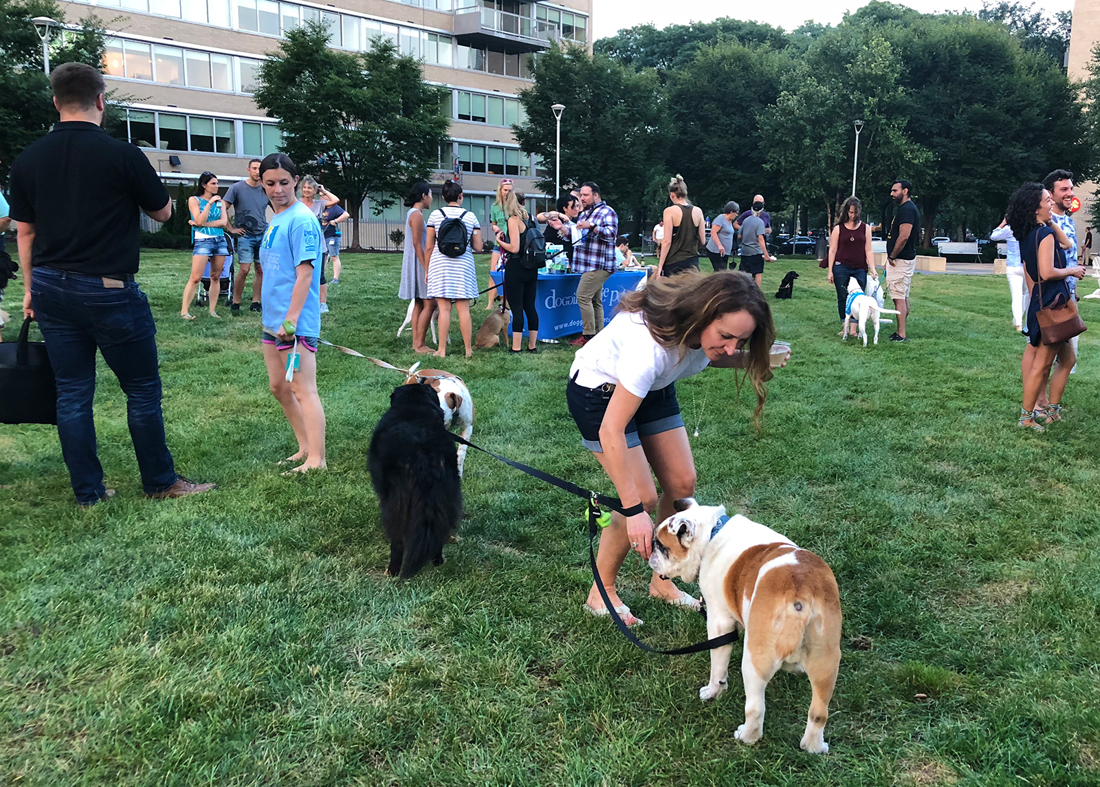 #ArtPup Yappy Hour at the Park Towne Place Museum District Residences