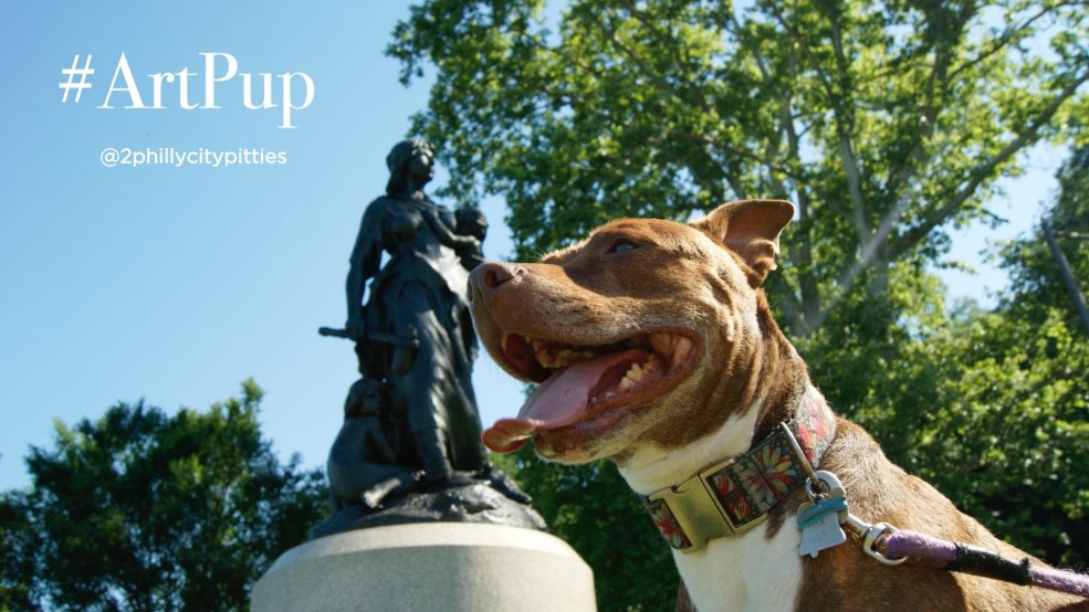 #ArtPup Tallie (@2phillycitypitties on Instagram)