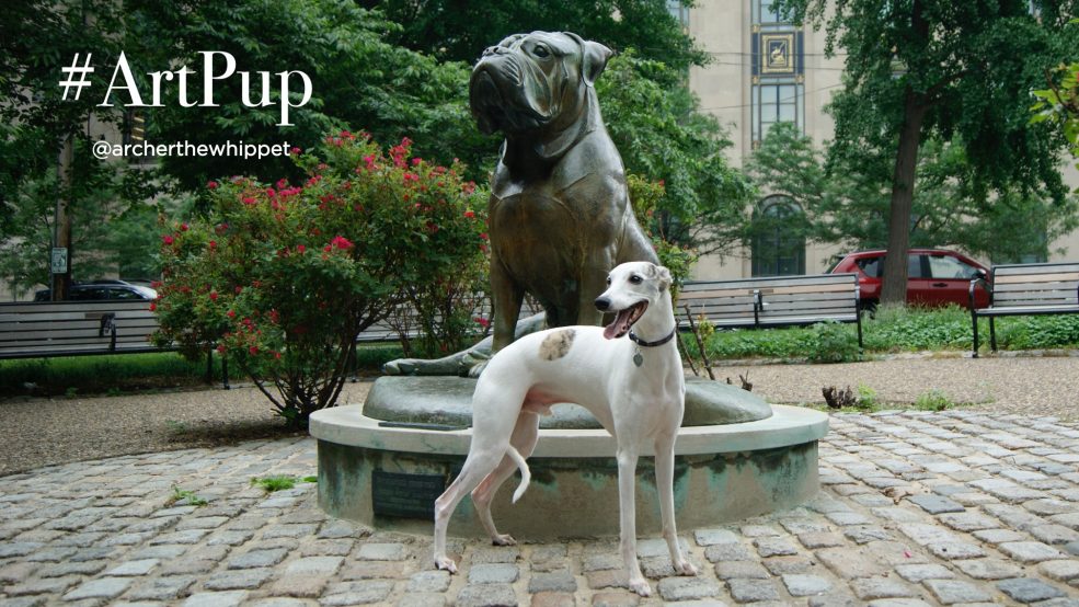 #ArtPup Archer (@archerthewhippet on Instagram)