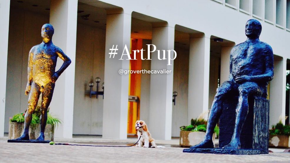 #ArtPup Grover (@groverthecavalier on Instagram)