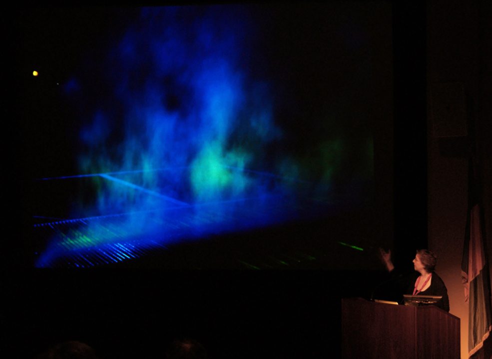 Artist Janet Echelman, 2011 Annual Meeting. Photo © Caitlin Martin