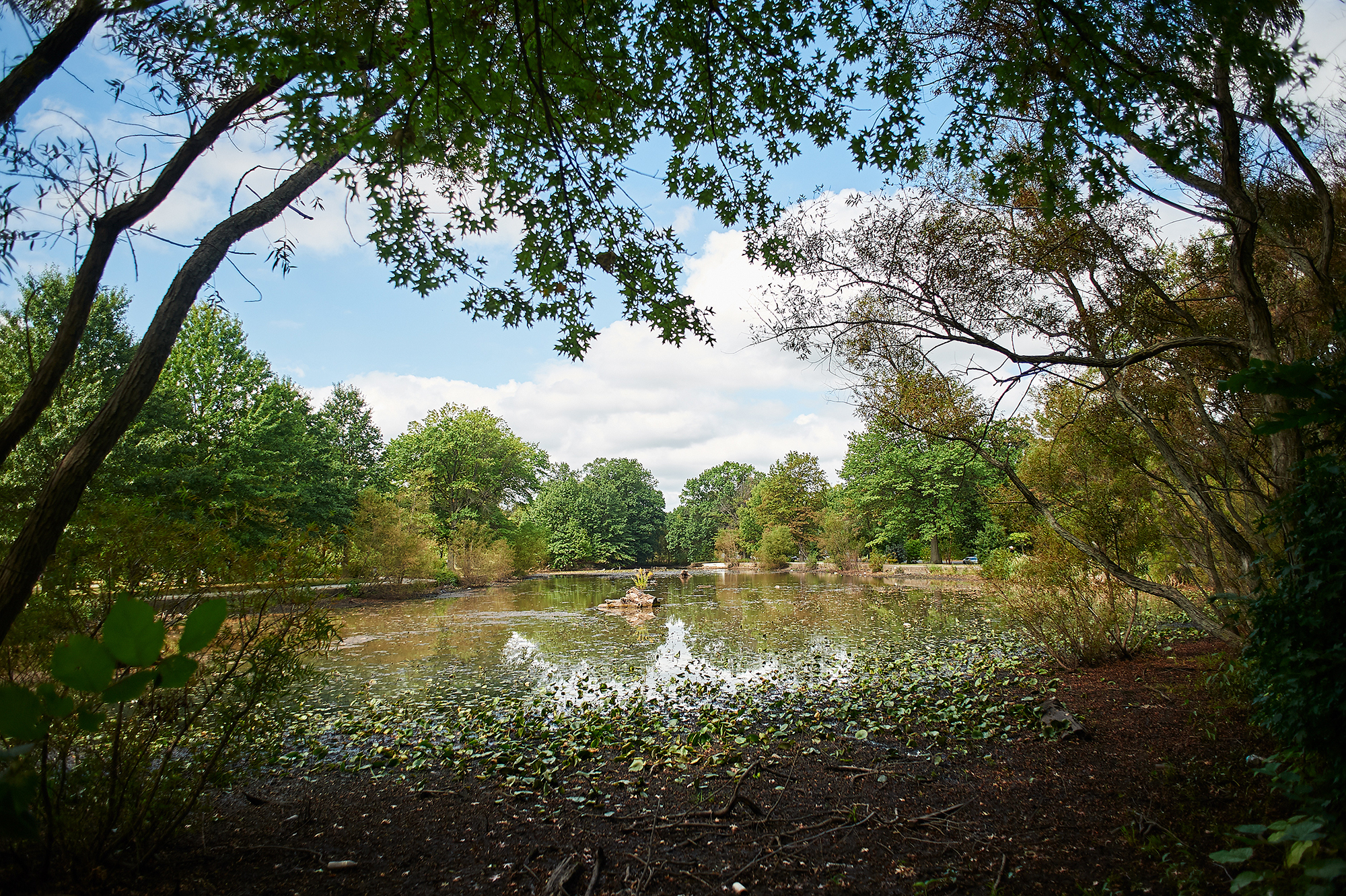Concourse Lake in West Fairmount Park