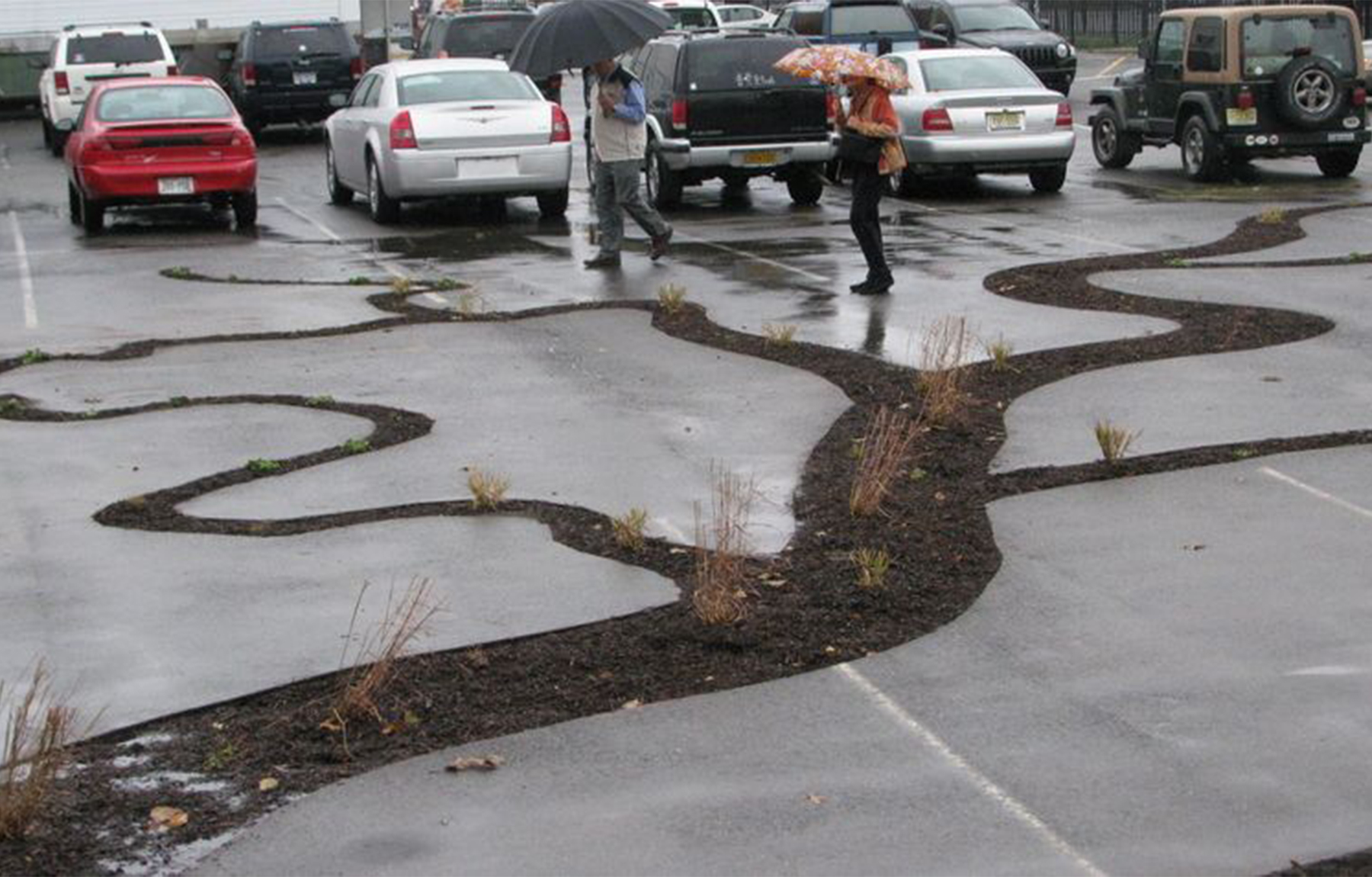 Meandering soil formations in the concrete - Dendritic Decay Garden