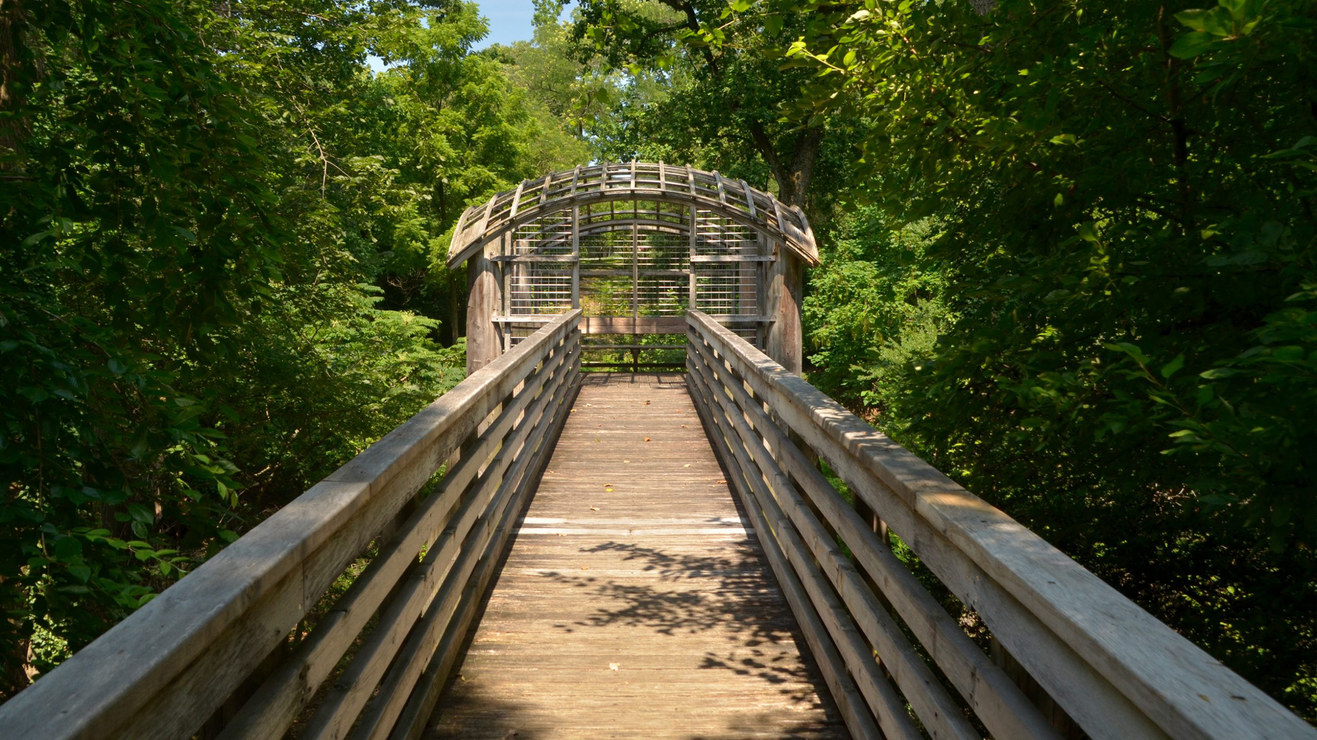 Martin Puryear's "Pavilion in the Trees" wooden pavilion – like a treehouse in the woods – in Fairmount Park, surrounded by green trees